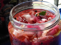 Soğan Turşusu Tarifi ve Malzemeleri Soğan Turşusu Tarifi ve Malzemeleri