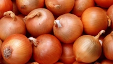 Soğan Yağı Kullanımı ve Faydaları Nelerdir? Soğan Yağı Kullanımı ve Faydaları Nelerdir?