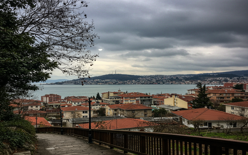 Frezya soğanı en iyi nasıl muhafaza edilir?